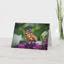 Schmetterling, Karte