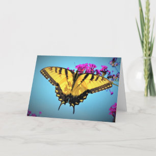 Schmetterling, Karte