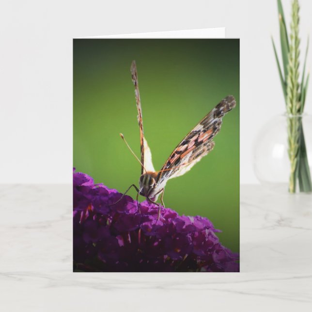 Schmetterling, Karte (Vorderseite)