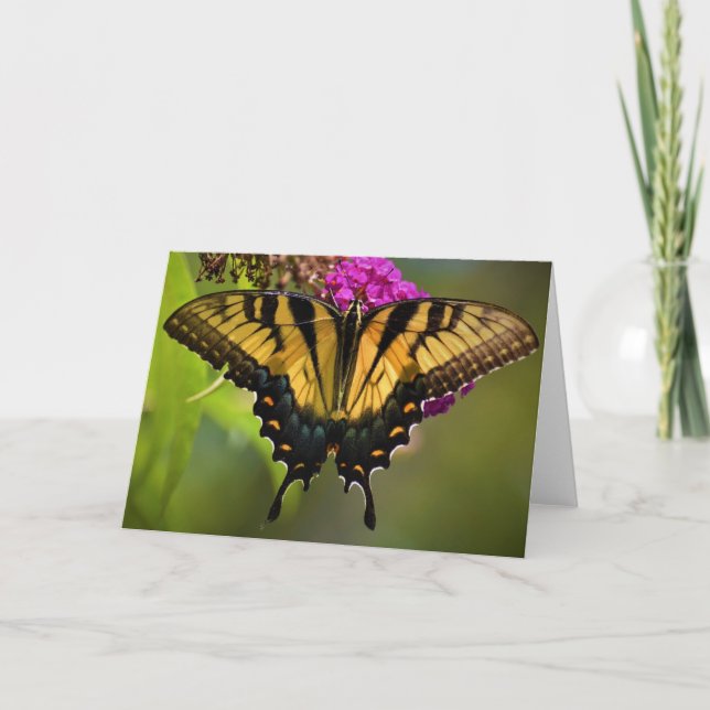 Schmetterling, Karte (Vorderseite)