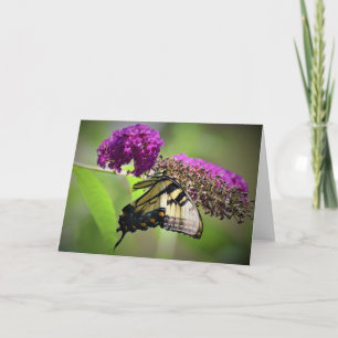Schmetterling, Karte
