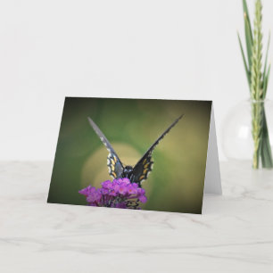 Schmetterling, Karte