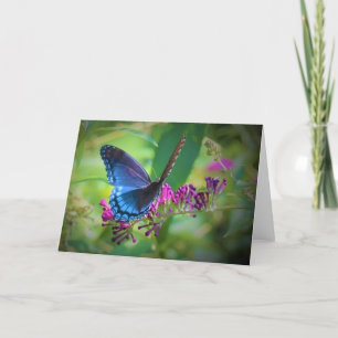 Schmetterling, Karte