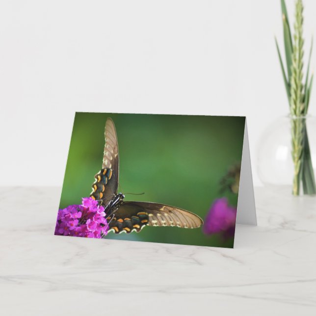 Schmetterling, Karte (Vorderseite)