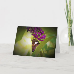 Schmetterling, Karte