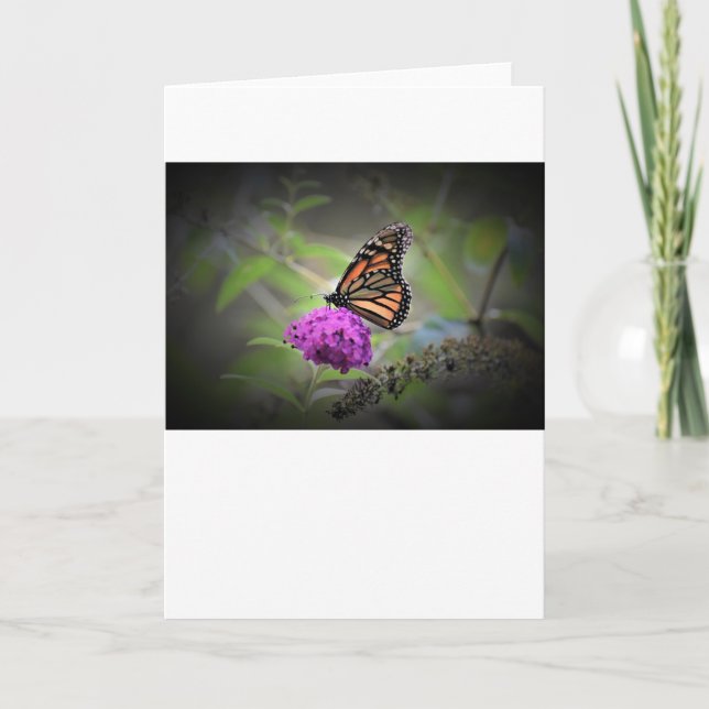 Schmetterling, Karte (Vorderseite)