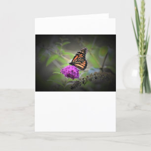 Schmetterling, Karte