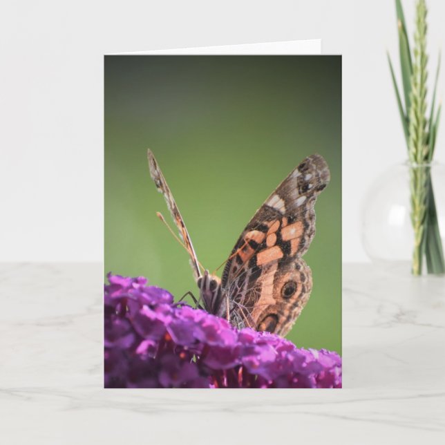Schmetterling, Karte (Vorderseite)