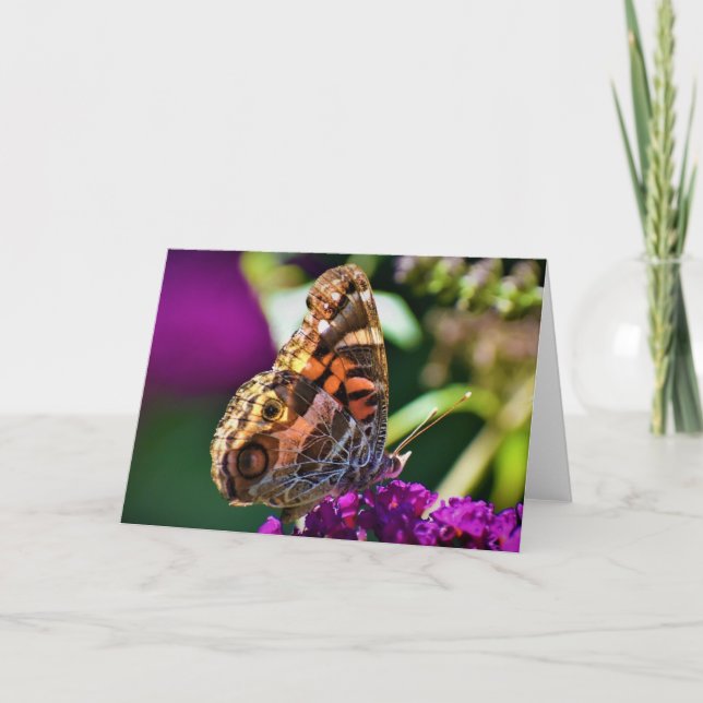Schmetterling, Karte (Vorderseite)