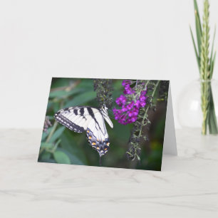 Schmetterling, Karte