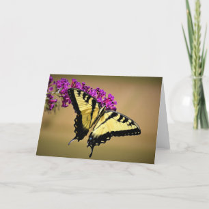 Schmetterling, Karte