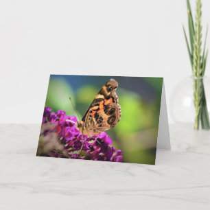 Schmetterling, Karte