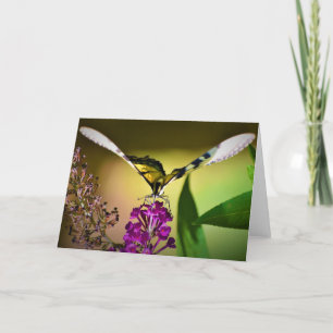 Schmetterling, Karte