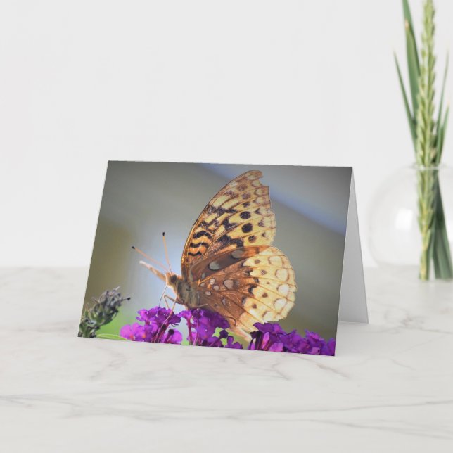 Schmetterling, Karte (Vorderseite)
