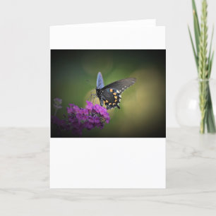 Schmetterling, Karte