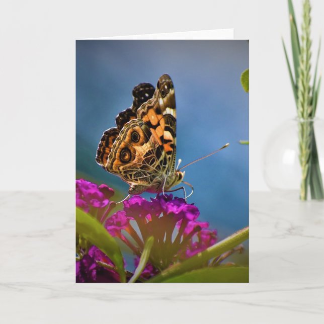 Schmetterling, Karte (Vorderseite)