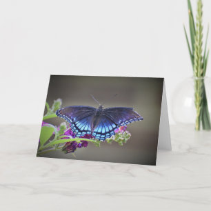 Schmetterling, Karte