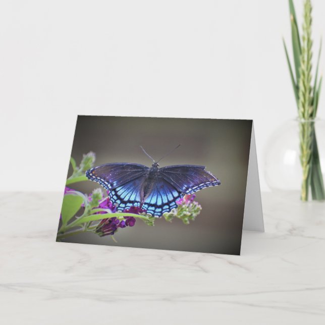Schmetterling, Karte (Vorderseite)