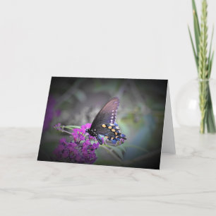 Schmetterling, Karte