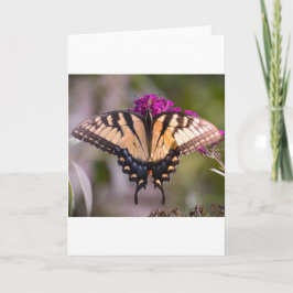 Schmetterling, Karte