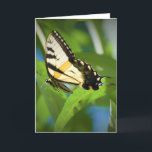 Schmetterling, Karte<br><div class="desc">Ein Prozentsatz des Umsatzes wird an Multiple Sklerose (MS) Research gespendet. Leere die Karte für deine eigene Nachricht. Geeignet für jeden Anlass.</div>