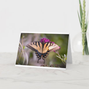 Schmetterling, Karte