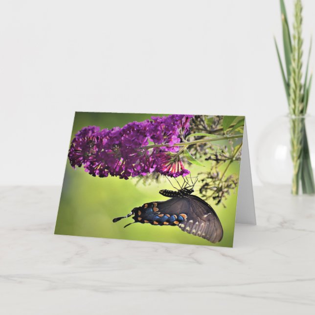 Schmetterling, Karte (Vorderseite)