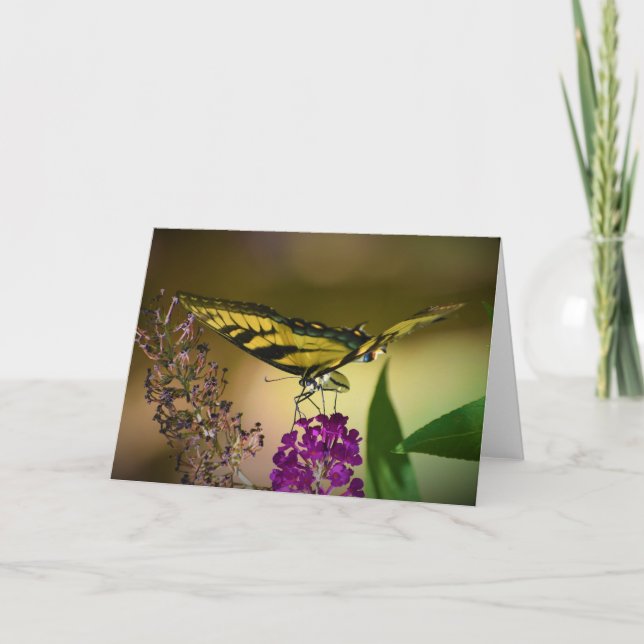 Schmetterling, Karte (Vorderseite)