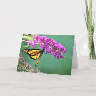 Schmetterling, Karte