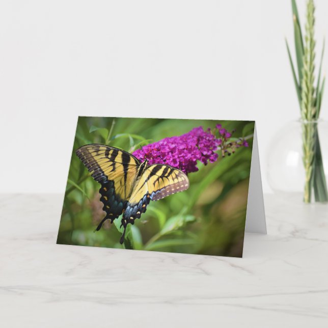 Schmetterling, Karte (Vorderseite)