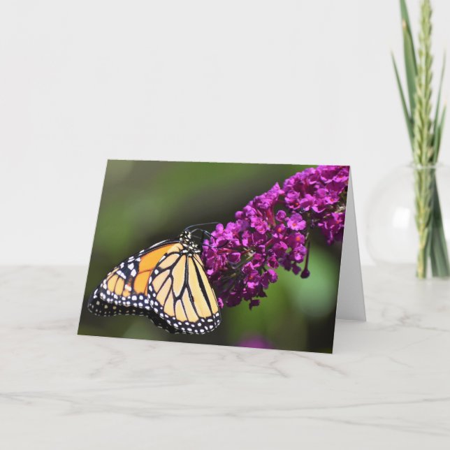 Schmetterling, Karte (Vorderseite)