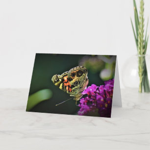 Schmetterling, Karte