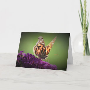 Schmetterling, Karte