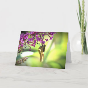 Schmetterling, Karte