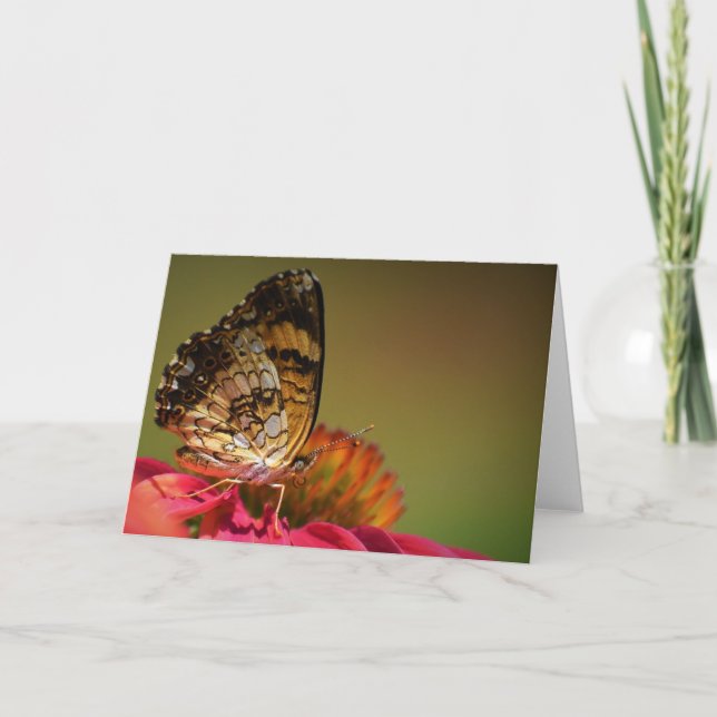 Schmetterling, Karte (Vorderseite)