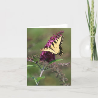 Schmetterling Karte
