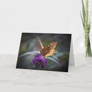 Schmetterling, Karte