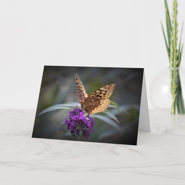 Schmetterling, Karte (Vorderseite)