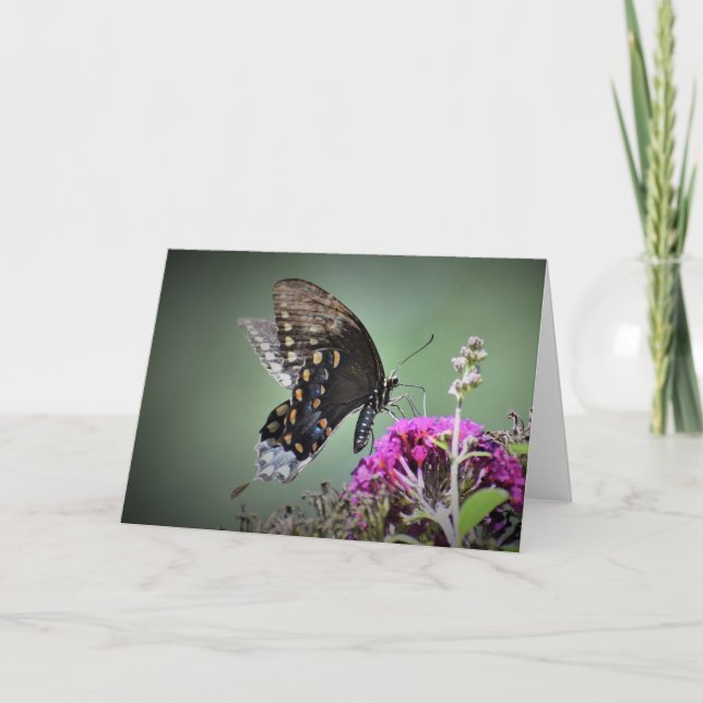 Schmetterling, Karte (Vorderseite)