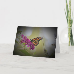 Schmetterling, Karte