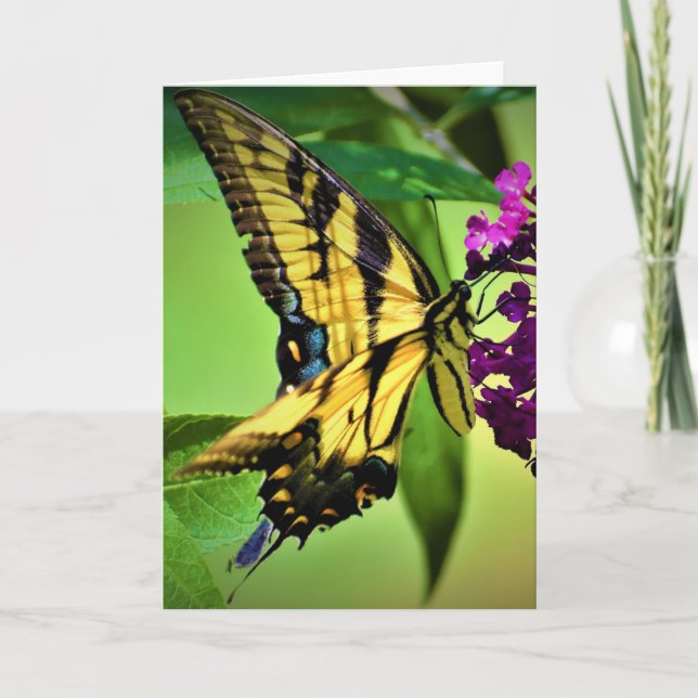 Schmetterling, Karte (Vorderseite)