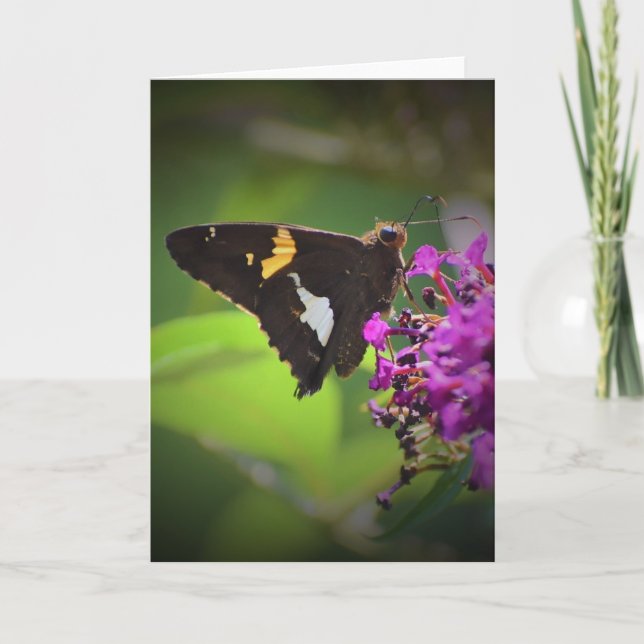 Schmetterling, Karte (Vorderseite)