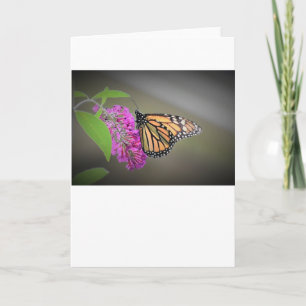 Schmetterling, Karte