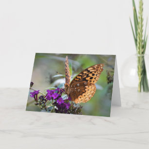 Schmetterling, Karte