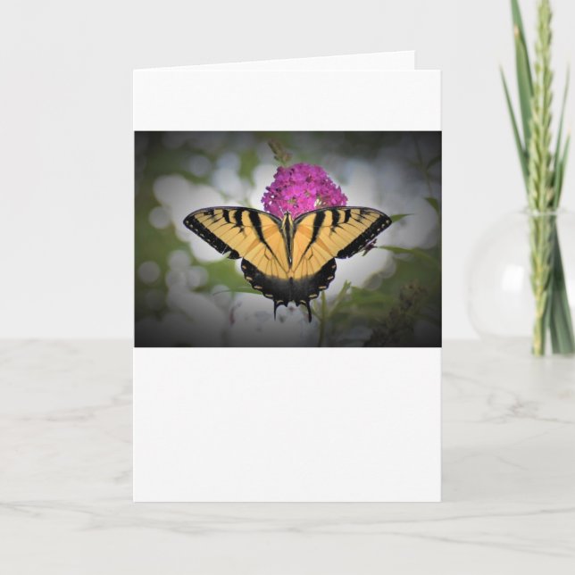 Schmetterling, Karte (Vorderseite)