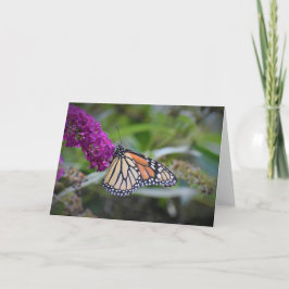 Schmetterling, Karte