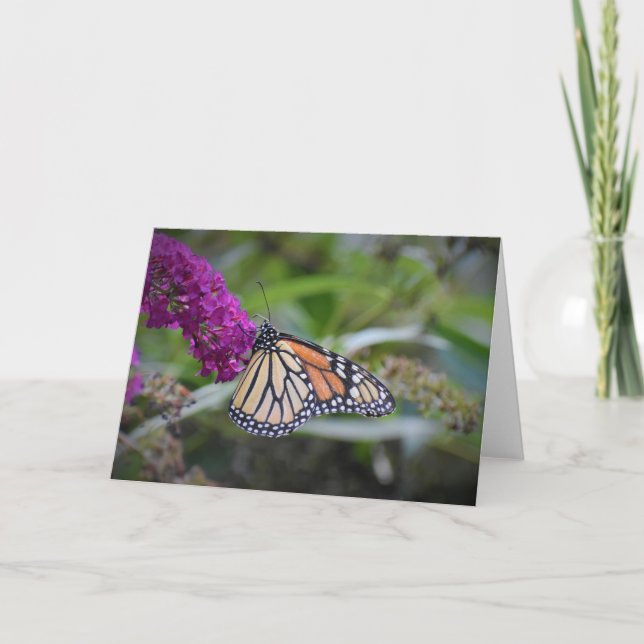 Schmetterling, Karte (Vorderseite)