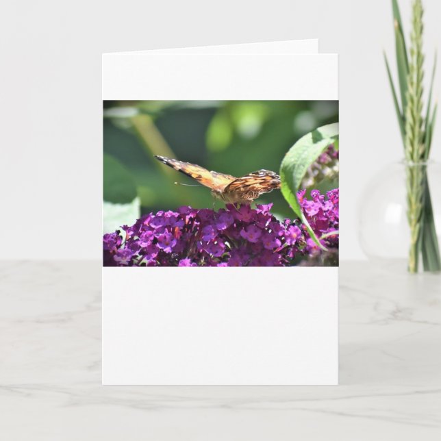 Schmetterling, Karte (Vorderseite)