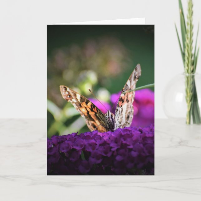 Schmetterling, Karte (Vorderseite)