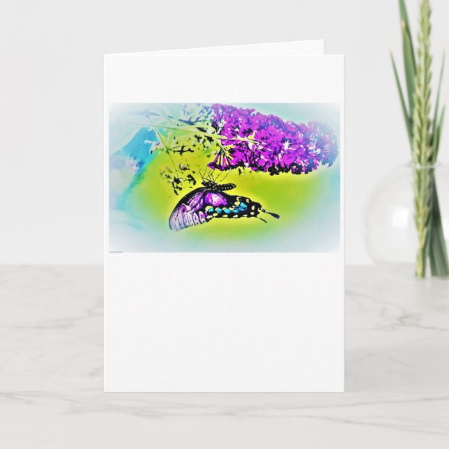 Schmetterling, Karte (Vorderseite)